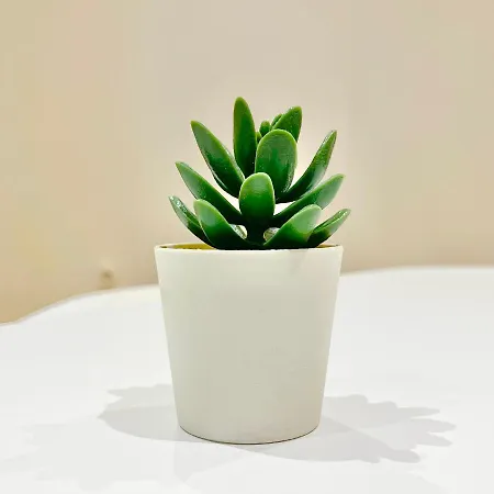 Appartamento - - Centre Historique - Tout Confort - Internet Fibre *