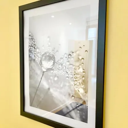 - - Centre Historique - Tout Confort - Internet Fibre *