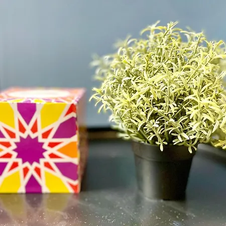 Appartamento - - Centre Historique - Tout Confort - Internet Fibre Rouen