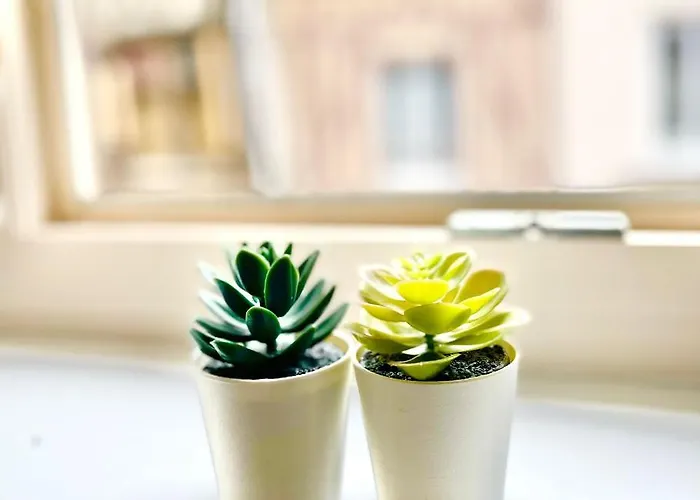 - - Centre Historique - Tout Confort - Internet Fibre *